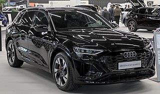 Audi Q8 e-tron (2023-2024)